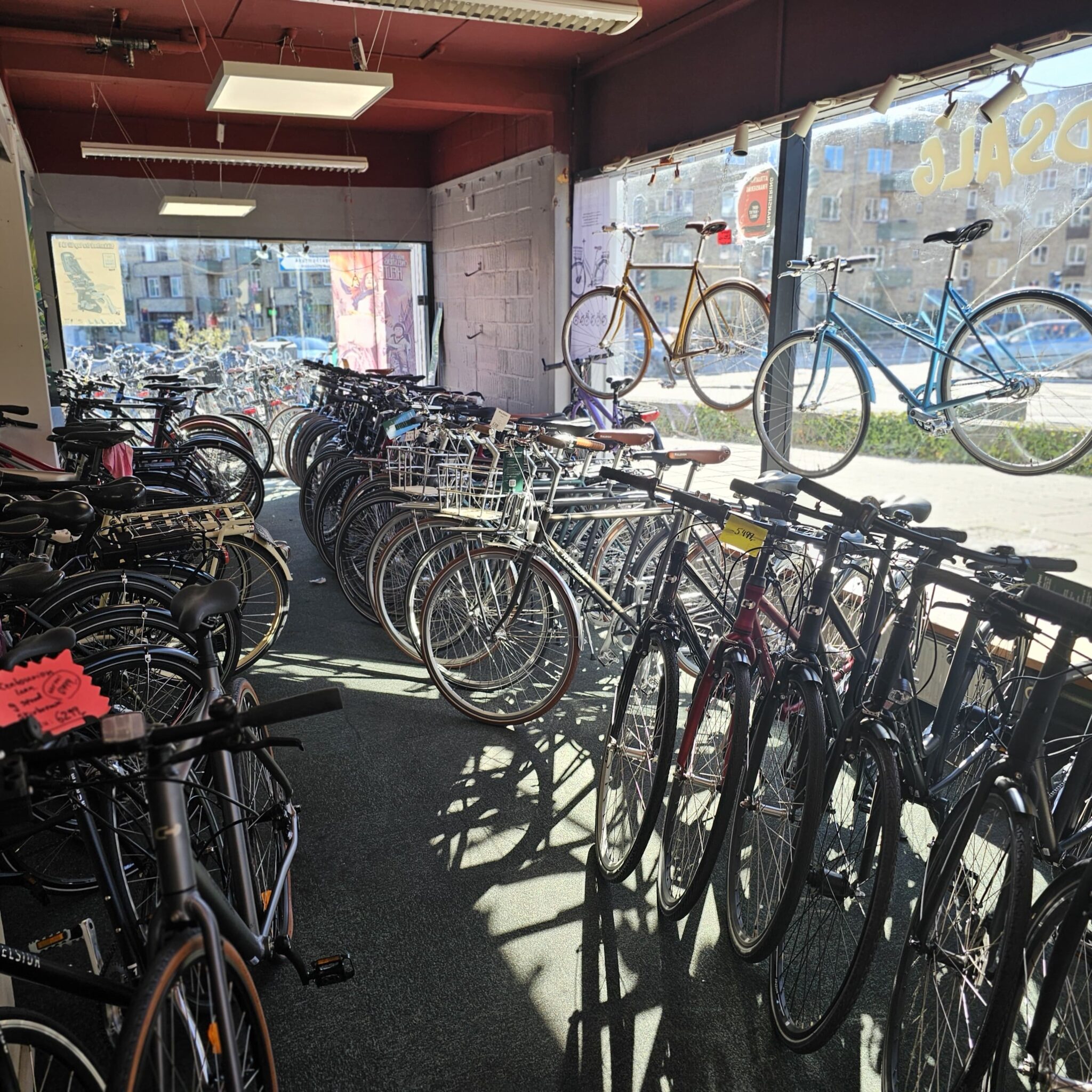 WhatsApp Image 2025-10-28 at 00.01.32