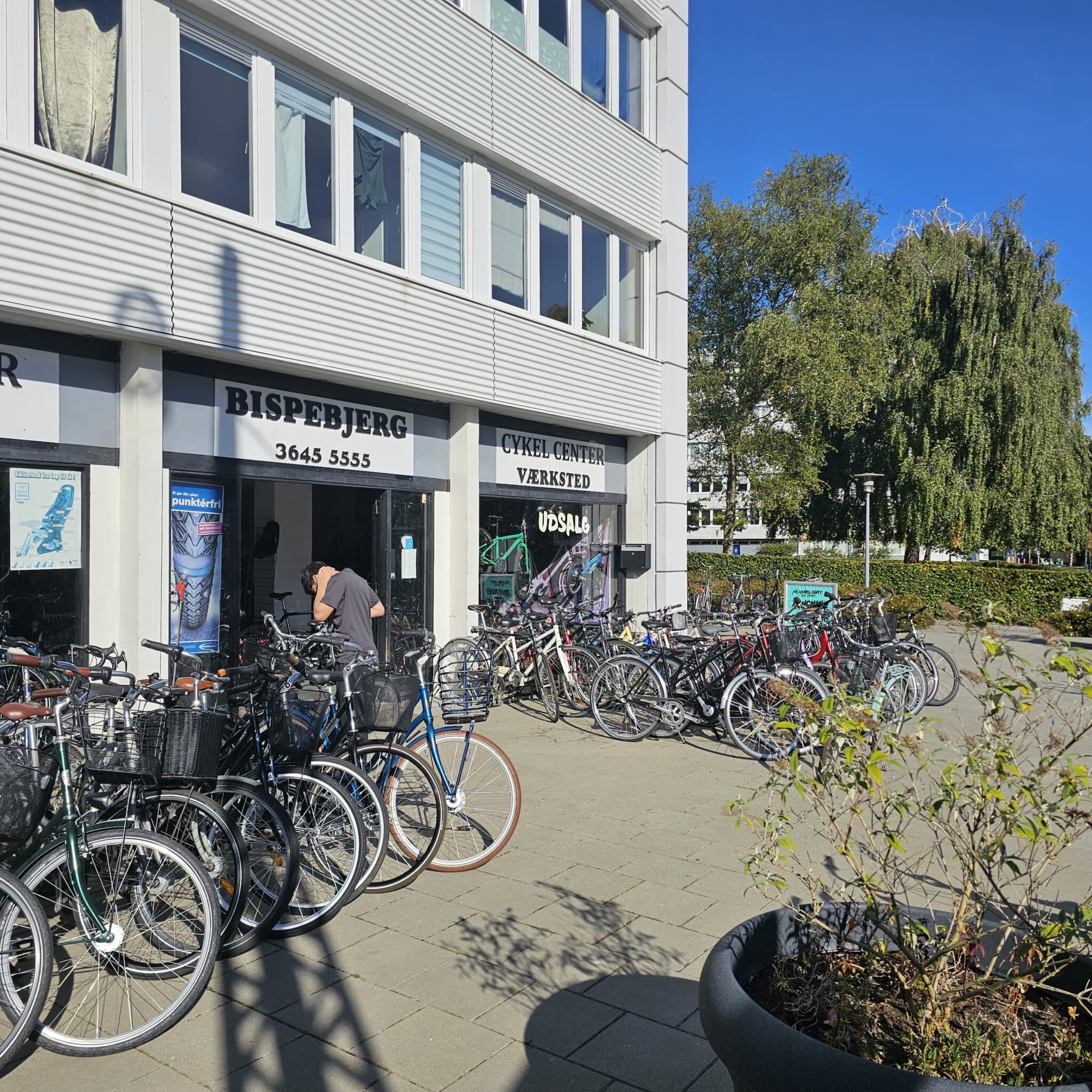 WhatsApp Image 2025-10-28 at 00.01.38 (1)