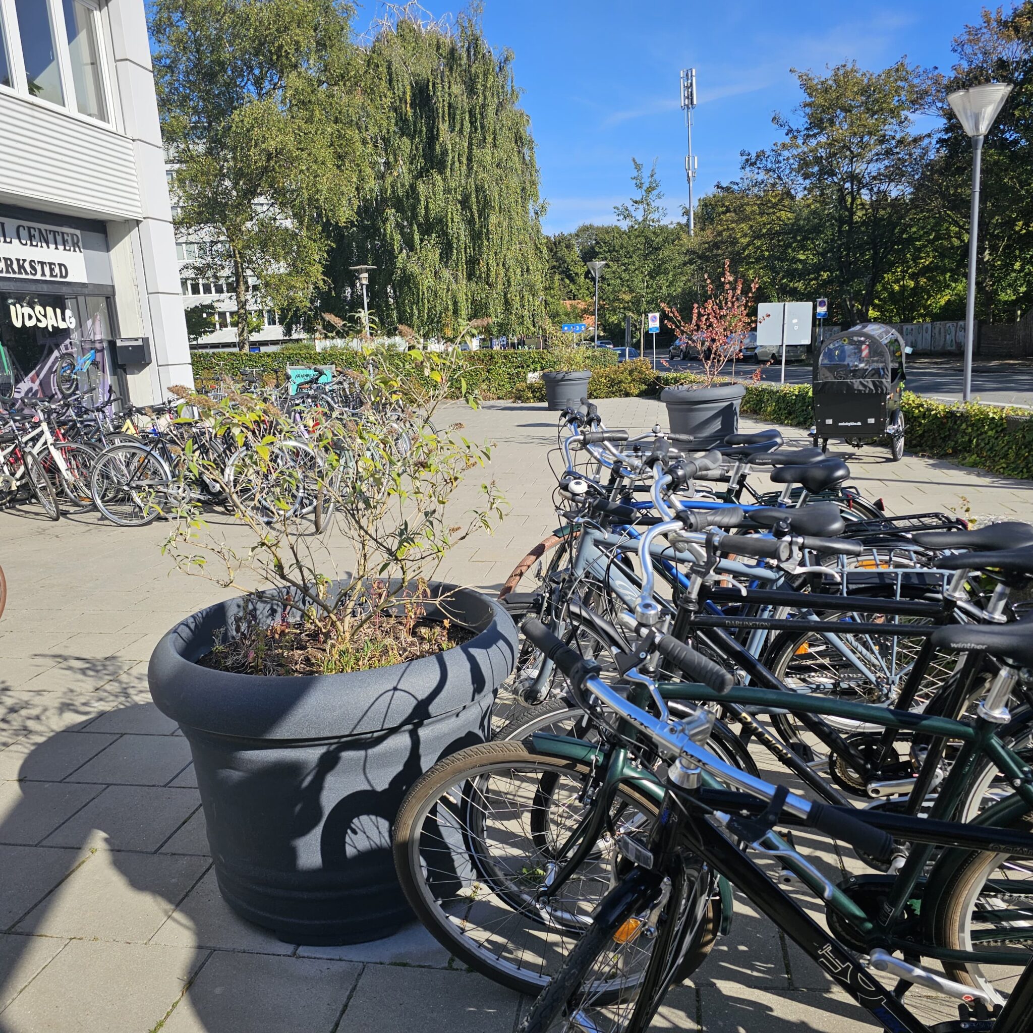 WhatsApp Image 2025-10-28 at 00.01.38